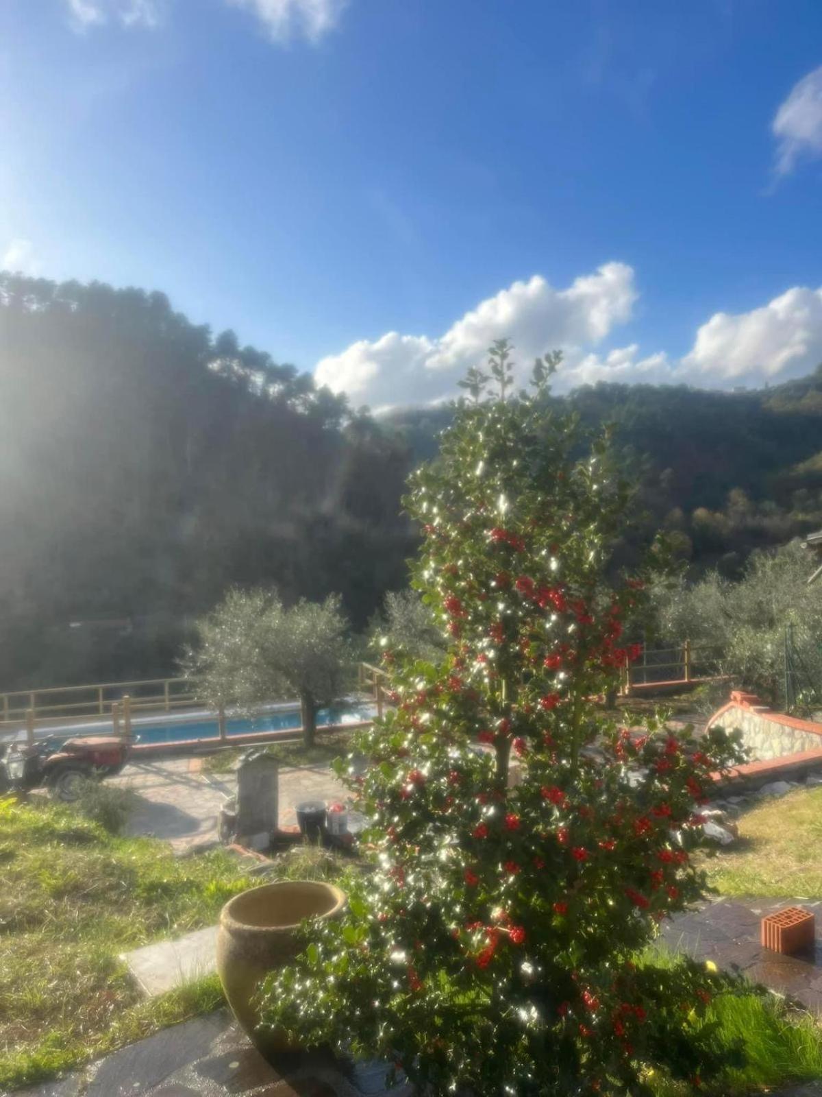 Podere Il Glicine Wellness Charme & Relax Fresonara  Екстериор снимка